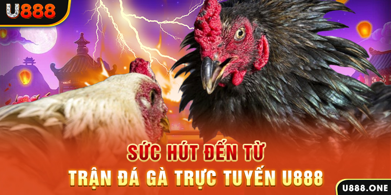 32win1 đá gà trực tiếp c1