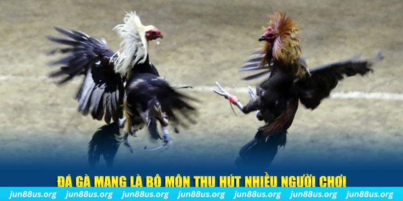 bắn cá au88
