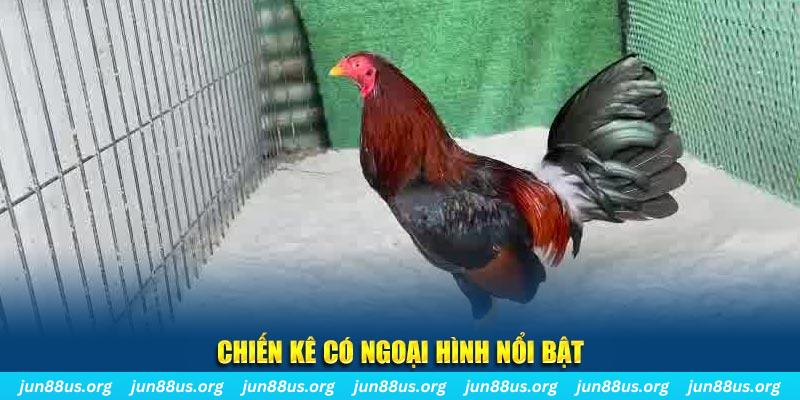 32win1 game nổ hũ là gì