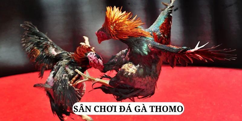 32win1 trực tiếp xổ số miền bắc